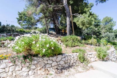 Ruža Mljet - One Bedroom Apartment with Balcony A