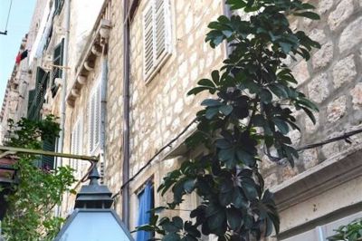 Studio Inn - Studio apartment