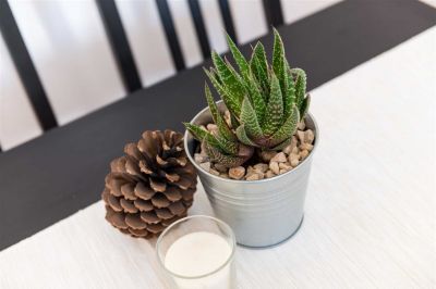 Nives One bedroom apartment