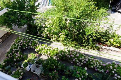 Nives One bedroom apartment