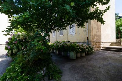 Nives One bedroom apartment