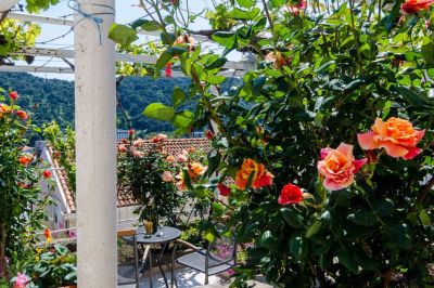 Baby Blue Superior studio apartment Zore Glavinić