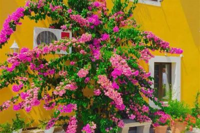 Rooms Mozara - Double room with private external bathroom 3