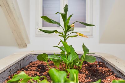 1 Superior double room with sea view BASILICUM Boutique Villa Root