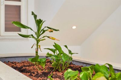 10 ROSMARINUS Loft Double Room Sea view  Boutique Villa Root