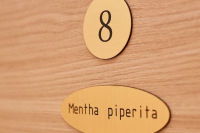 8 MENTHA PIPERITA Loft room with sea view Boutique Villa Root