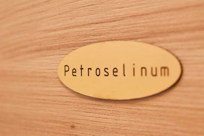 Loft double room 11 - PETROSELINUM - Boutique Villa Root